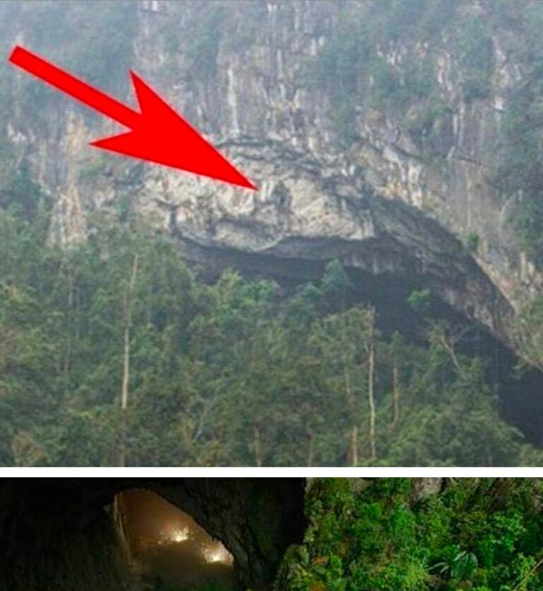 Farmer Finds Huge Cave On His Land But He Heard Something That Made Him Stay Away
