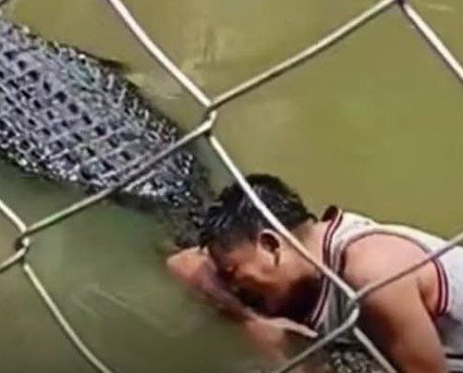 Horrific footage shows moment tourist is attacked by crocodile after climbing into enclosure