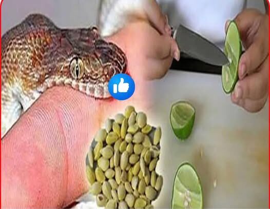 Save this valuable remedy to help absorb toxins and save lives