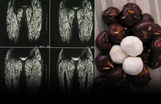 Eating Just One Bite is Already Harmful, But Many Still Eat It Without Worry